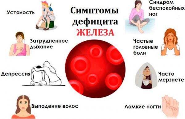 Продукты содержащие железо