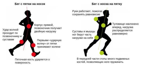 Бег на длинные дистанции развивает гибкость, ловкость, выносливость. Техника