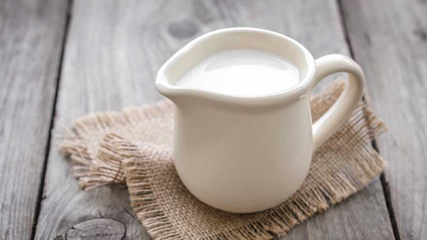 Продукты содержащие больше всего белка