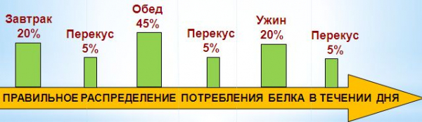 Продукты содержащие больше всего белка