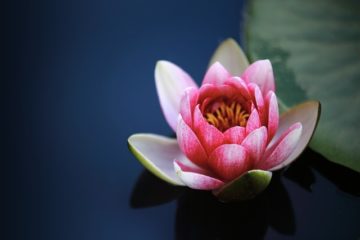 Эффективная практика медитации для очищения энергетических центров