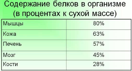 Белковые коктейли для набора мышечной массы. Рецепты, цены, какие купить