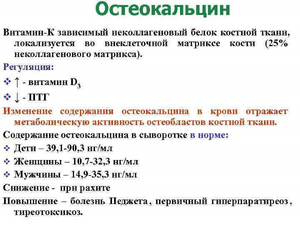 Базовые упражнения с гантелями для женщин на плечи, спину, ноги, все группы мышц