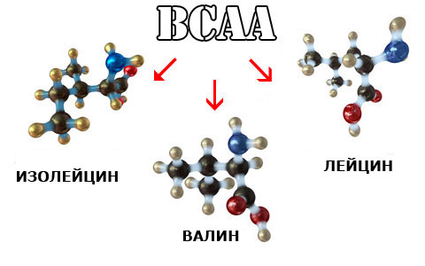 BCAA &mdash;  как принимать, правильная дозировка и время